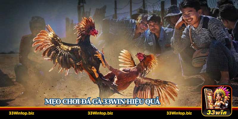 Mẹo chơi đá gà 33Win hiệu quả